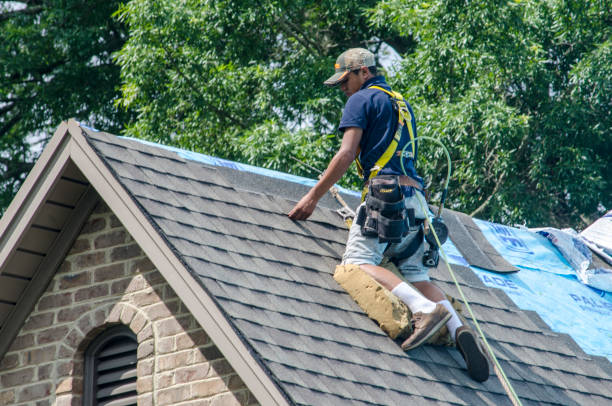 Best New Roof Installation  in USA